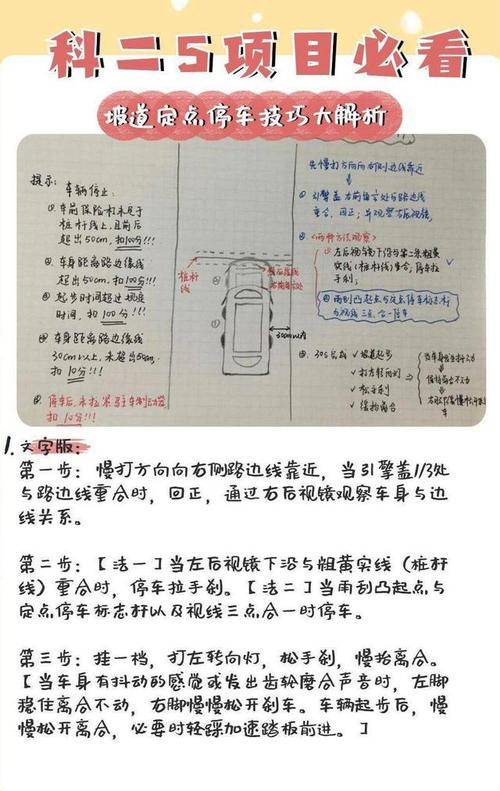 学车第二关（车考第二关）