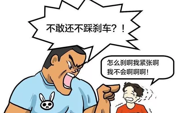 形容学车学不好的成语（学车学不会的说说）