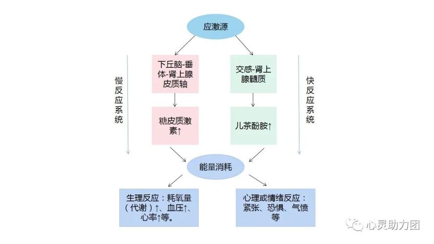 应急反应一般多久（应急反应时间是指什么?）