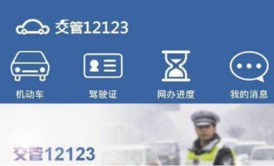 交警内部查询违章需要多久（交警系统查违章）