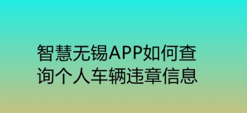 无锡本地违章多久能查到（无锡违章查询app）