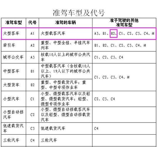 c1驾照多久可以升b（c1驾照多久可以升a1）